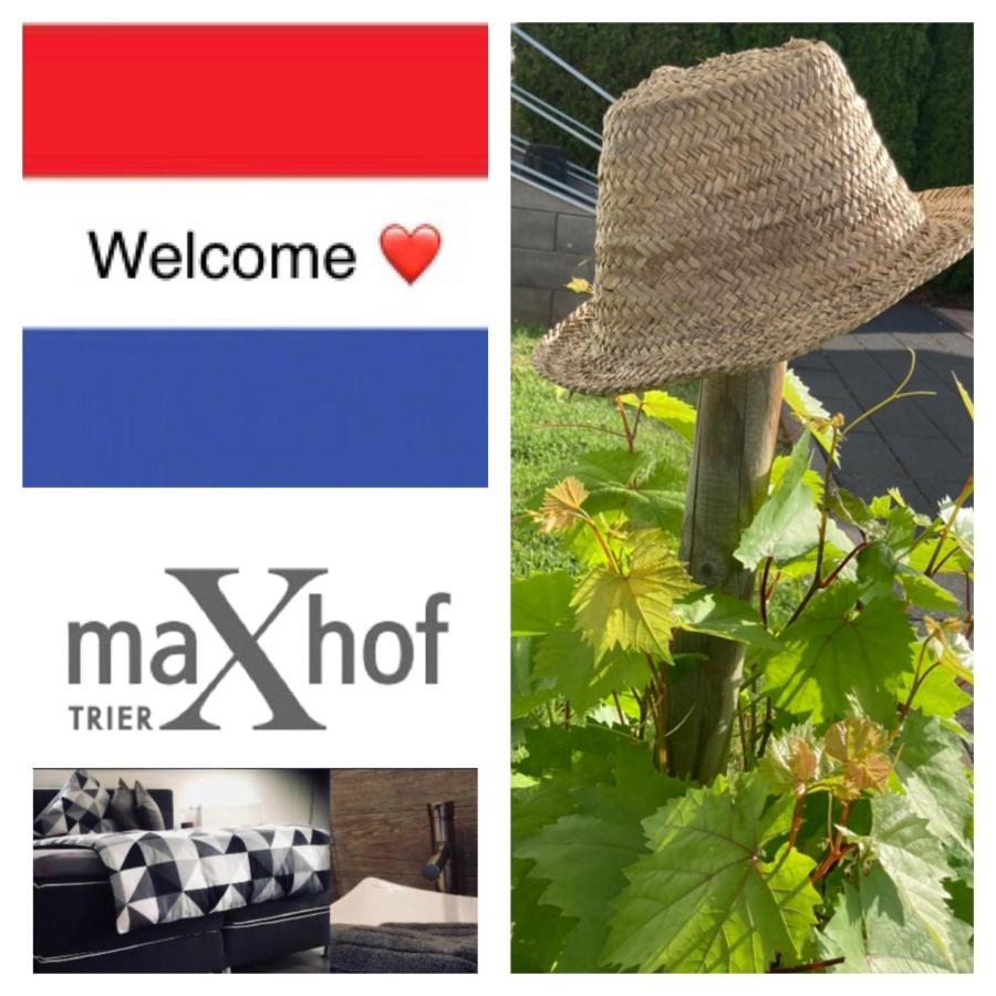 Maxhof Trier Apartment Екстериор снимка